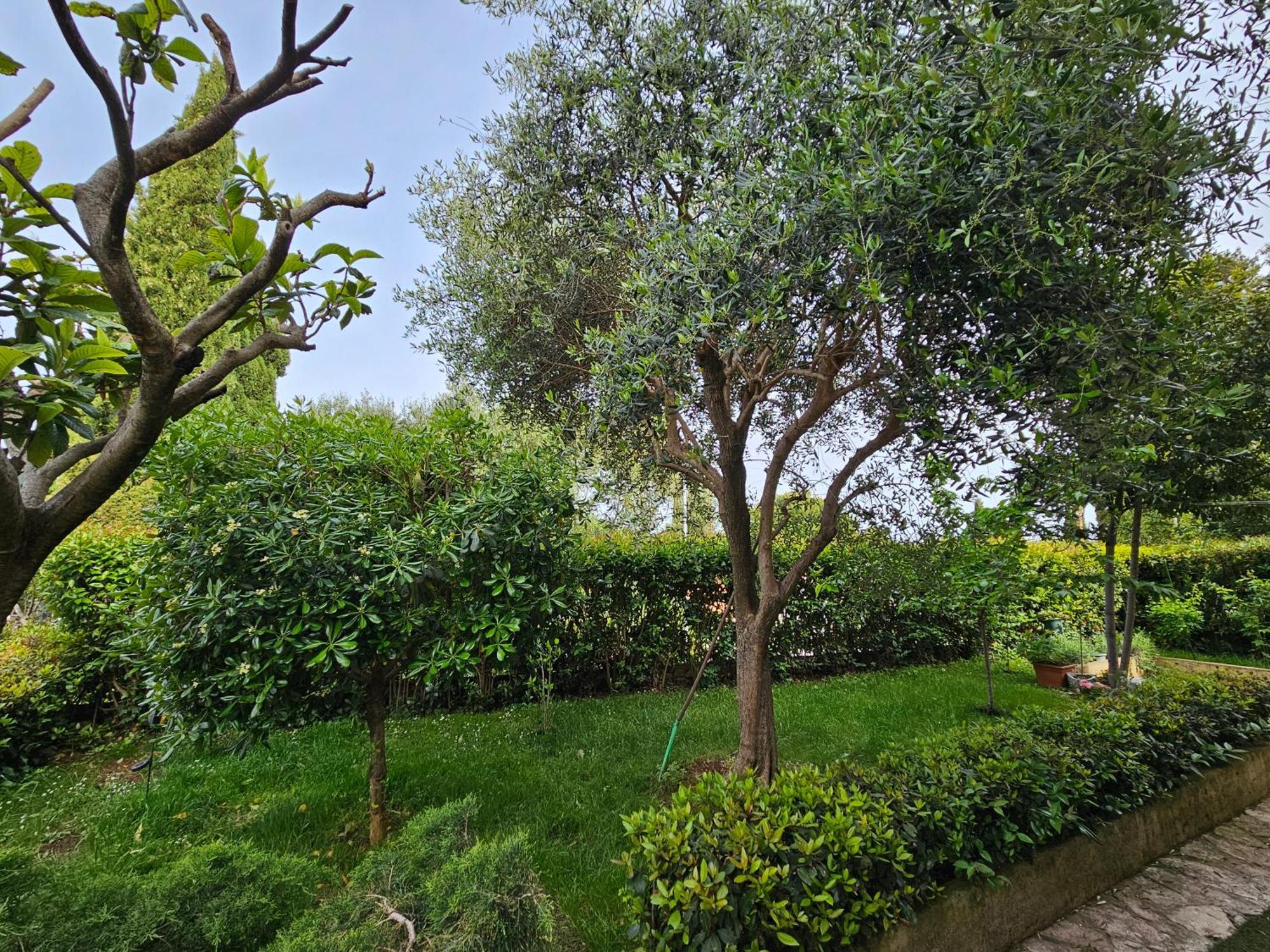 Zita - Heart Of Rovinj, Apartment For 2, Free Parking, 2Min Center, 5Min Beach Walk Esterno foto